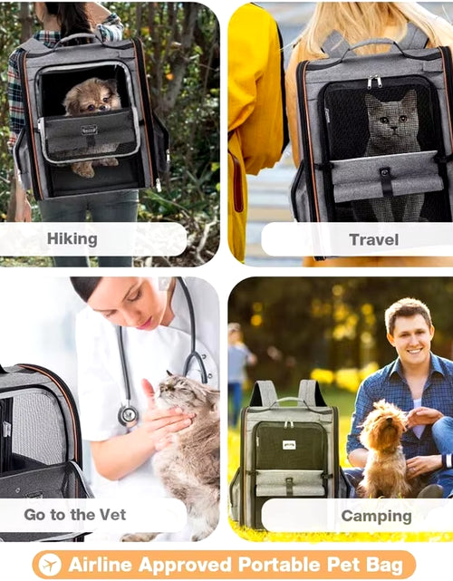 Load image into Gallery viewer, Pet Supplies Portable Breathable Double Shoulder Cat Bag, Foldable Puppy Backpack, Fashionable and Expandable Pet Bag
