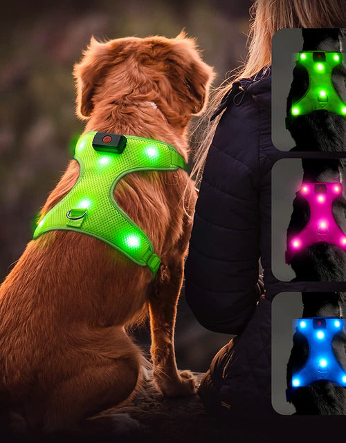 Load image into Gallery viewer, LED Dog Harness, Lighted up USB Rechargeable Pet Harness, Illuminated Reflective Glowing Dog Vest Adjustable Soft Padded No-Pull Suit for Small, Medium, Large Dogs (Green, S)
